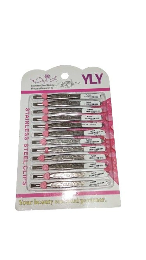 Yly Stainless Steel Clips  - 12 Pack