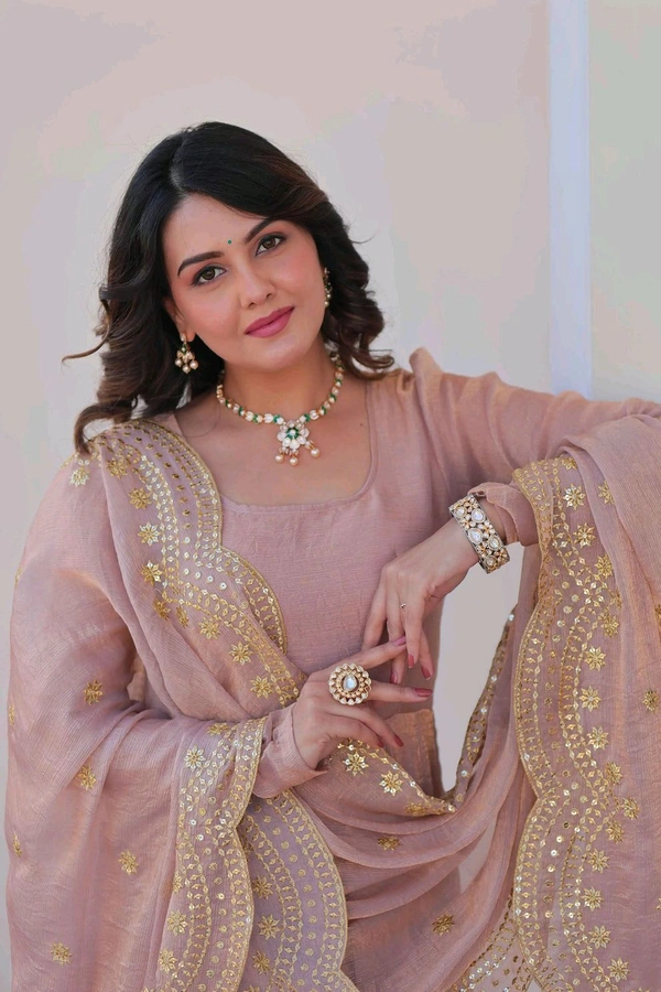 Shiny Dark Beige Designer Fendi Chiffon Gown With Embroidery Work Dupatta
- Rosy Brown, M