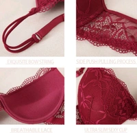 Bra & Panty Set Embroidered Black Lingerie Set - Rosewood, 36A