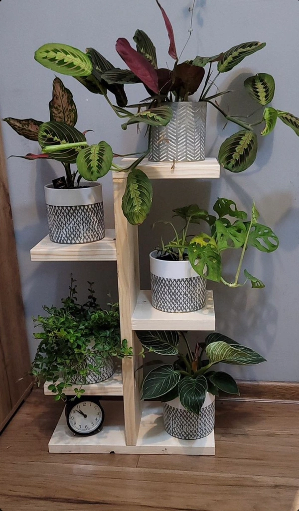 CRAFTISTA Wooden Multiple Tiered Corner Plants Rack | Indoor & Outdoor Plant Display Rack Holder | Shelving Unit for Patio, Garden, Balcony, Living Room (Cream_14cm x 15.2cm x 76.2cm)