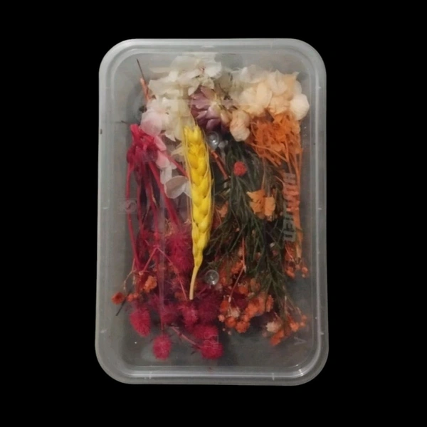 Dried Flower Box No.52