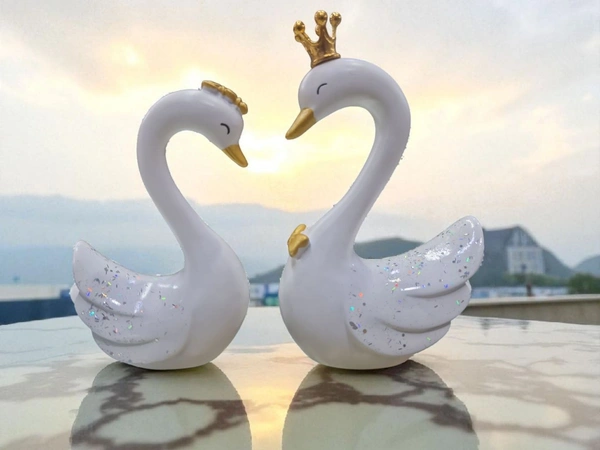 Swan Couple White Colour