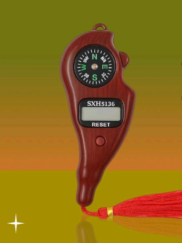 Digital Counter and Compass 