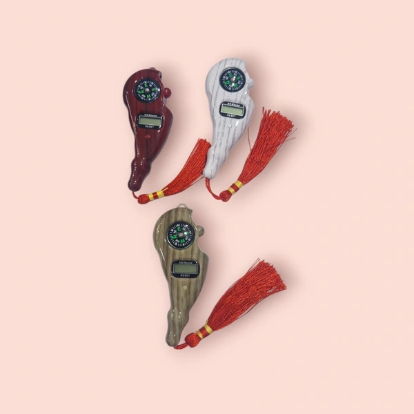 Digital Counter and Compass 