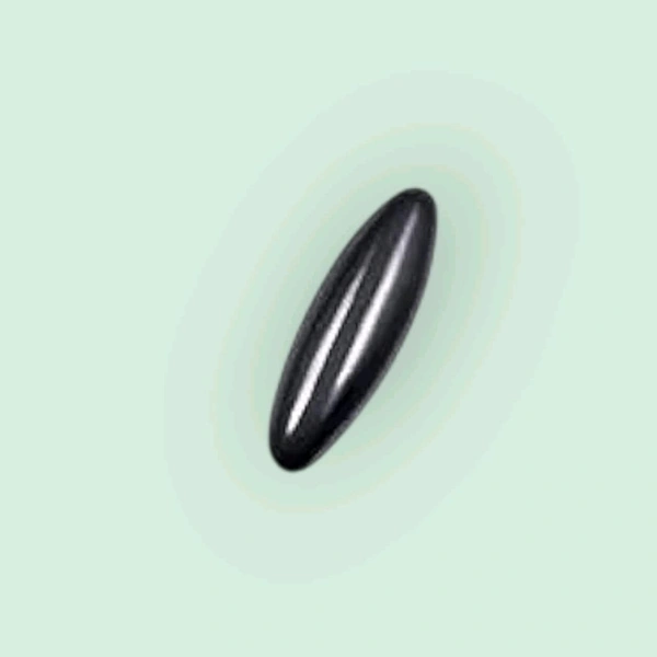 Steel Magnet Rattlesnake Egg Shape Aprox. 2.8 CM