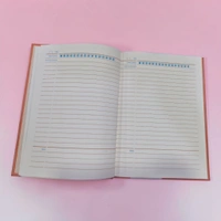 Anupam Fylo File Style Diary A5 Size-160 Pages 100 GSM