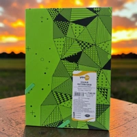 Navneet Youva Colour Pattern Edge A5 192 Pages Diary