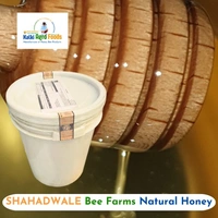 Shahadwale Fennel Honey | Saunf Flora Honey – Bulk for Brands & Wholesalers - Bucket, Fennel/ Saunf, 28kg
