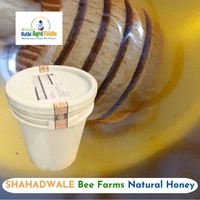 SHAHADWALE Eucalyptus Honey | Safeda Honey | Neelgiri Flora Honey - Bulk for Brands & Wholesalers - Bucket, Eucalyptus, 28 kg