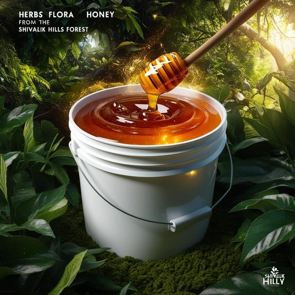 SHAHADWALE Herbs Honey |Herbs Flora Honey| Herbal plants Flowers Honey | Himalayan Honey - 1Kg, Premium Quality
