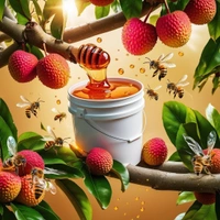 SHAHADWALE Lychee Honey / Litchi Honey - Bulk for Brands & Wholesalers - 28Kg