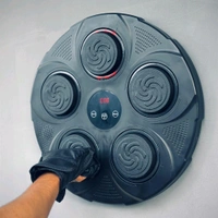 Maxtop Intelligent Music Boxing Pad with LED & Bluetooth | Wall-Mounted Punch Training with Smart Chip, Gloves Included – Ideal for Home Fitness & Stress Relief