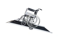 Acc-Red Suitcase Ramp - 6 Feet, 30 inches