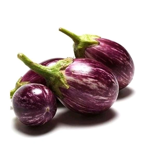 Brinjal 