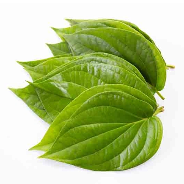 Betel Leaves 