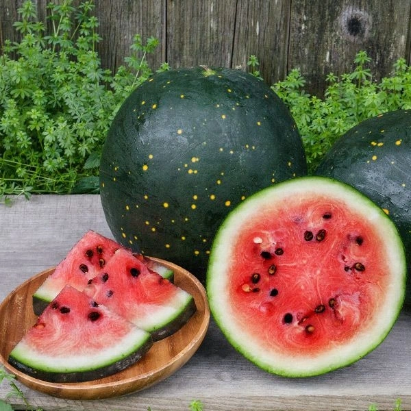 Watermelon Small