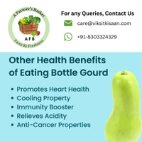 Bottle Gourd (Lauki) - 1 Piece 600-700Gm