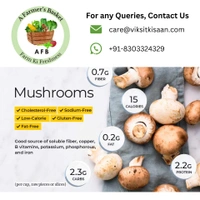 Button Mushroom - 200 Grams (1 Box)