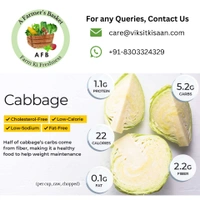 Cabbage (Patta Ghobhi) - 2 Piece (1.5-1.6 Kg)