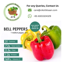 Green Capsicum (Shimla Mirch) - 1 Kg