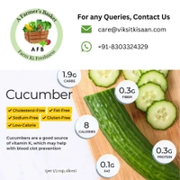 Green Cucumber (Kheera) - 500g