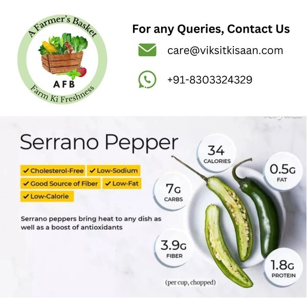 Green Chilli (Hari Mirch) - 500 Grams