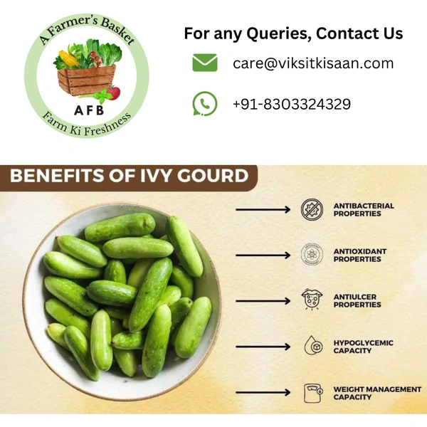 Kundru (Ivy Gourd) - 1 Kg