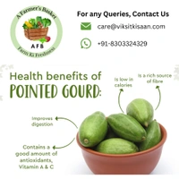 Parwal (Pointed Gourd) - 250 Grams