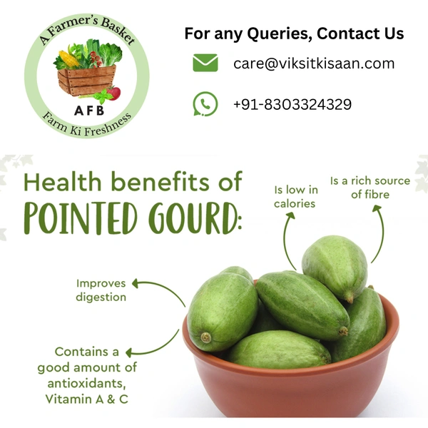 Parwal (Pointed Gourd) - 250 Grams