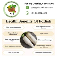 White Radish (Mooli) - 250 Grams