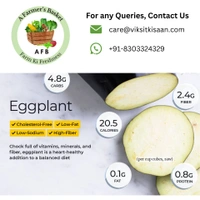 Small Brinjal - 250 g