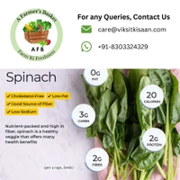 Spinach (Palak) - 500 Gm