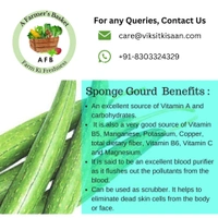 Sponge Gourd (Nenua) - 500g