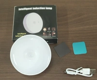 Induction Lamp