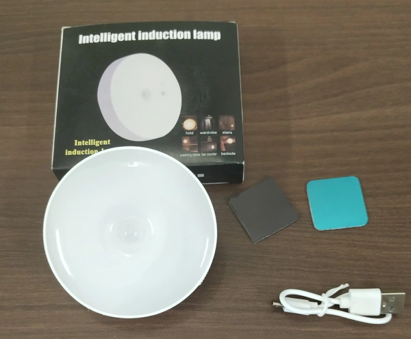 Induction Lamp