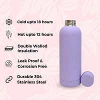 RUBBER TEXTURE MATT FINISH INSULATED BOTTLE - Light Orchid