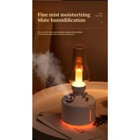 Vintage Lamp Night Light Nano Mist Sprayer