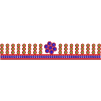 Blouse Design No : HSW-M-177 - Simple Border, U Shape