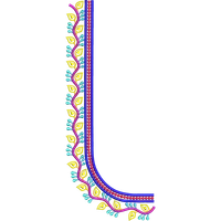 Blouse Design No : MSM-019 - Simple Border, U Shape