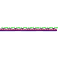 Blouse Design No :MSM - 705 - Simple Border, U Shape