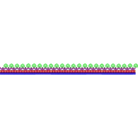 Blouse Design No :MSM - 706 - Simple Border, U Shape