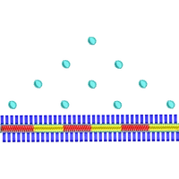 Blouse Design No :MSM - 749 - Border With Butta, U Shape