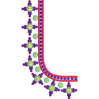 Blouse Design No :MSM - 802 - Simple Border, U Shape