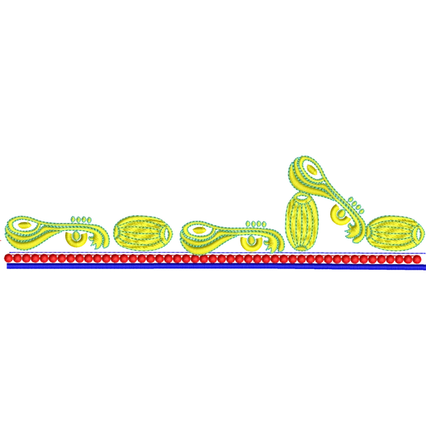 Blouse Design No :MSM - 965 - Simple Border, U Shape