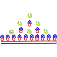 Blouse Design No :MSM - 976 - Border With Butta, U Shape