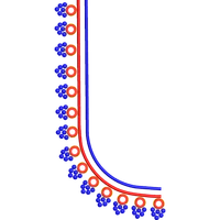 Blouse Design No :MSM - 976 - Border With Butta, U Shape