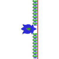 Blouse Design No : MSM-120 - Simple Border, U Shape