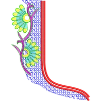 Blouse Design No :MSM - 348 - Simple Border, U Shape