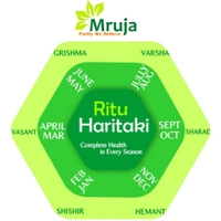 Vasant Haritaki - 500 Gm