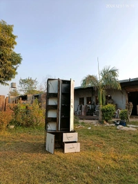 Chetak Dressing-Revolving